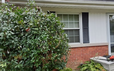 Photo of Jason H.'s yard after getting landscaping in Sellersburg, IN