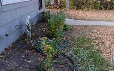 Photo of Patrick M.'s yard after getting landscaping in Hamel, MN