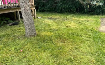 Photo of Angel O.'s yard after getting landscaping in Lake Bluff, IL