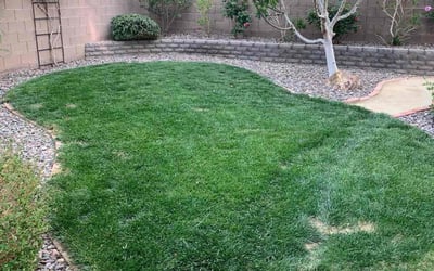 Photo of Beth S.'s yard after getting landscaping in Mesquite, NV