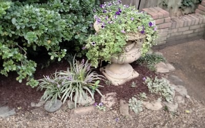 Photo of Carol N.'s yard after getting landscaping in Brighton, TN