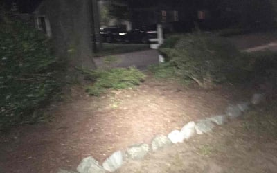 Photo of Sean B.'s yard after getting landscaping in New Hill, NC