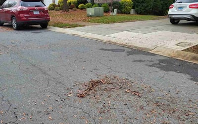Photo of Andrew L.'s yard after getting landscaping in Mc Connells, SC