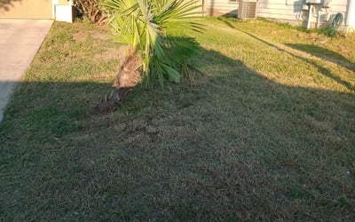 Photo of Miranda R.'s yard after getting landscaping in Poteet, TX