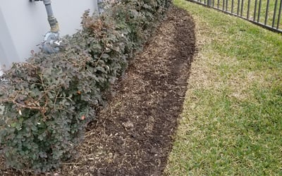 Photo of Jeffrey S.'s yard after getting landscaping in Winnie, TX