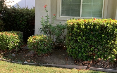 Photo of Aaron S.'s yard after getting landscaping in Galt, CA