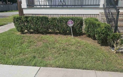 Photo of Natalie C.'s yard after getting landscaping in Folsom, LA