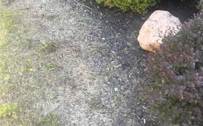 Photo of Kimberly S.'s yard after getting landscaping in Derby, OH