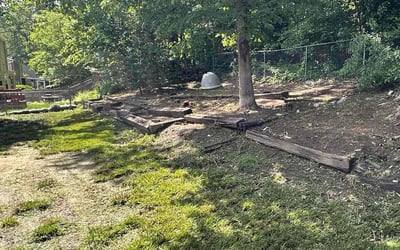 Photo of Sarah P.'s yard after getting landscaping in Springfield, VA
