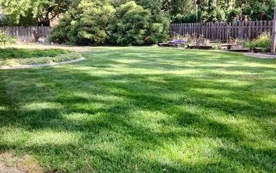 Photo of Johanna C.'s yard after getting tree care in Puyallup, WA