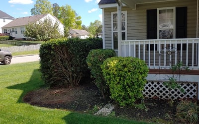 Photo of Kara H.'s yard after getting landscaping in Dinwiddie, VA