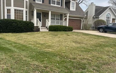 Photo of Karen P.'s yard after getting landscaping in Overland Park, KS