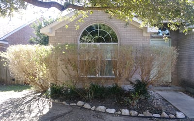 Photo of Carlos T.'s yard after getting landscaping in Tarpley, TX