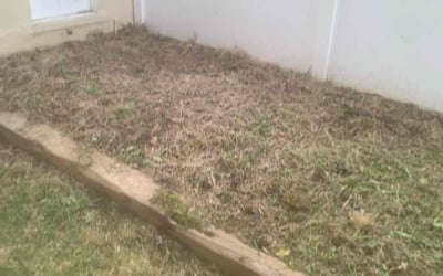 Photo of Melanie R.'s yard after getting landscaping in Lititz, PA