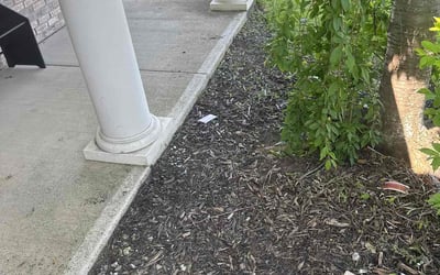 Photo of Stephanie P.'s yard after getting landscaping in Greencastle, IN