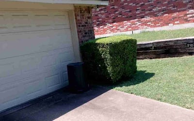 Photo of Jacqwan G.'s yard after getting tree care in Rowlett, TX