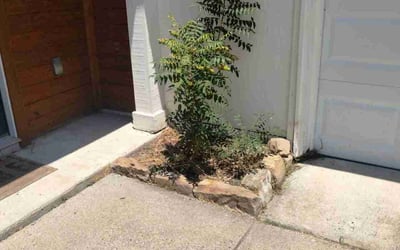 Photo of Amanda R.'s yard after getting landscaping in Springtown, TX