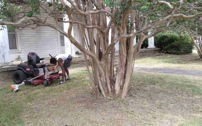 Photo of Kathryn B.'s yard after getting landscaping in Bridgeport, TX