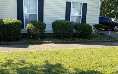 Photo of Laura S.'s yard after getting landscaping in Mansfield, GA