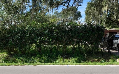 Photo of Ryan A.'s yard after getting landscaping in Nichols, FL