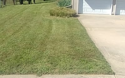 Photo of Benjamin P.'s yard after getting landscaping in Louisburg, KS