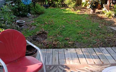 Photo of Mary B.'s yard after getting landscaping in Somerville, TN