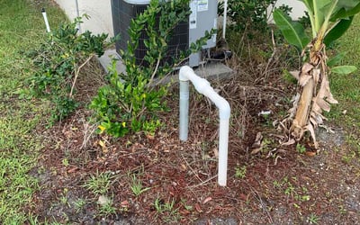 Photo of David O.'s yard after getting landscaping in Palm Bay, FL