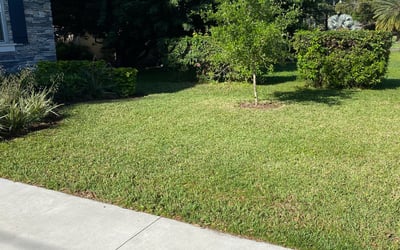 Photo of Brian H.'s yard after getting landscaping in Aripeka, FL