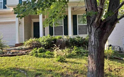 Photo of Derrick W.'s yard after getting landscaping in Smyrna, SC
