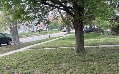 Photo of Jordan D.'s yard after getting landscaping in Edwardsville, IL