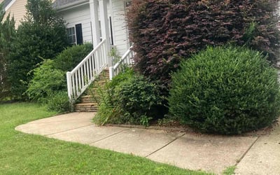 Photo of Joshua L.'s yard after getting tree care in Willow Spring, NC