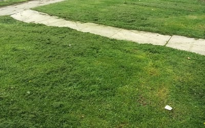 Photo of Richard W.'s yard after getting landscaping in Morgantown, IN