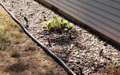 Photo of Elaine M.'s yard after getting landscaping in Amsterdam, MO