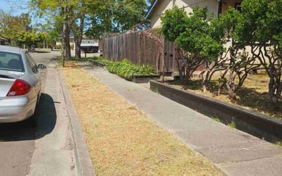 Photo of Jessica H.'s yard after getting landscaping in Santa Rosa, CA