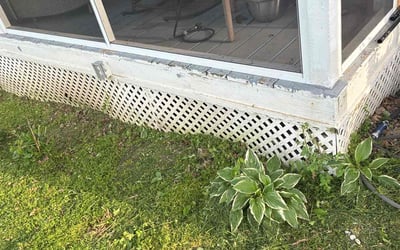 Photo of Linda S.'s yard after getting landscaping in Lebanon, TN