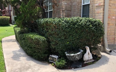 Photo of Robert W.'s yard after getting landscaping in Utopia, TX