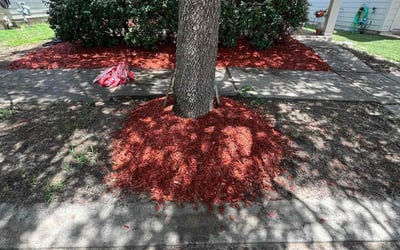 Photo of Robin W.'s yard after getting tree care in Freeport, TX