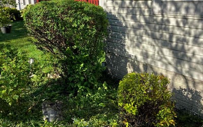 Photo of Michael S.'s yard after getting landscaping in Hilliard, OH