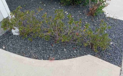 Photo of Kevin M.'s yard after getting landscaping in Hull, TX
