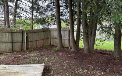 Photo of Ryan S.'s yard after getting landscaping in Fulton, NY