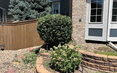 Photo of Mary B.'s yard after getting landscaping in Conifer, CO