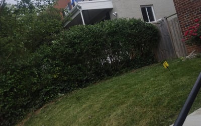 Photo of Sheila E.'s yard after getting landscaping in Paris, VA