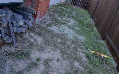 Photo of Mathilde T.'s yard after getting tree care in Escondido, CA