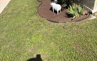 Photo of Mark G.'s yard after getting landscaping in Denton, TX