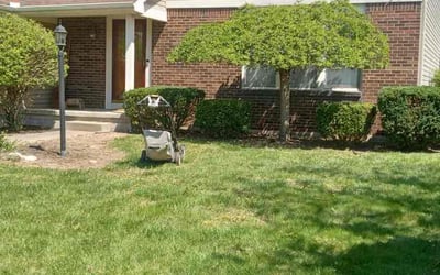 Photo of Mike B.'s yard after getting landscaping in New Holland, OH