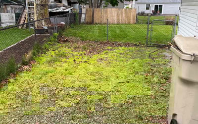 Photo of William H.'s yard after getting landscaping in Mishawaka, IN