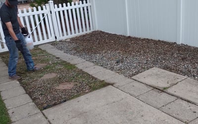 Photo of Lynn V.'s yard after getting landscaping in Cascade, CO