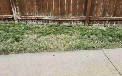 Photo of Garrett M.'s yard after getting landscaping in Wellington, KS
