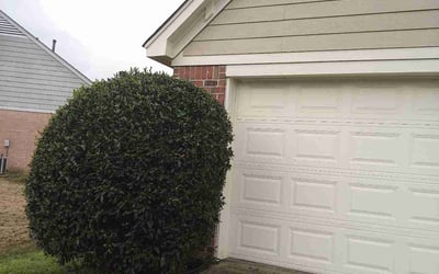 Photo of Michael D.'s yard after getting landscaping in Southaven, MS