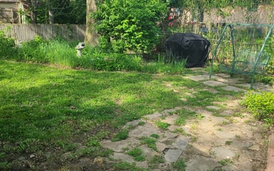 Photo of Chris M.'s yard after getting landscaping in Haydenville, OH